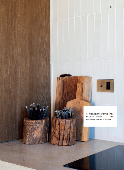 modelec_scheda_collezione_confidence.pdf